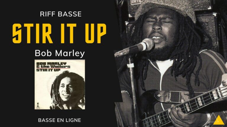 Basse Reggae Stir it up