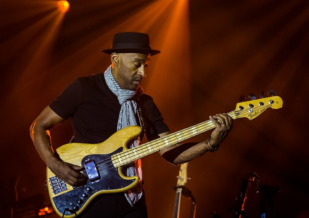 Basse en ligne